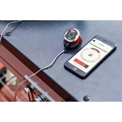 BAUHAUS Weber Grill-Thermometer IGrill Mini Bluetooth, Messfühler -BAUHAUS sales 12 500